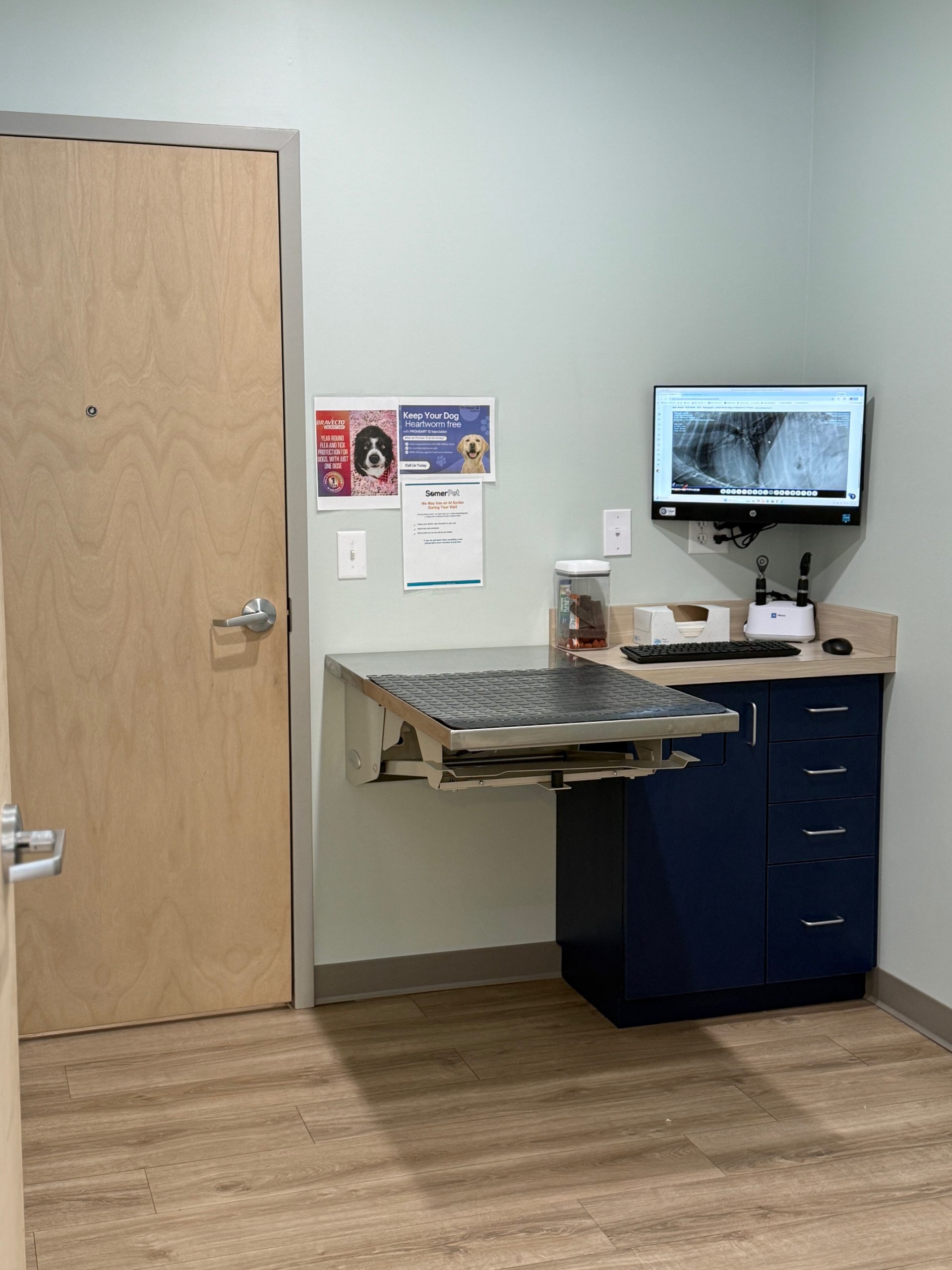 Advanced Digital X-rays